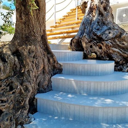 Le Fronde Vieste Ngoại thất bức ảnh